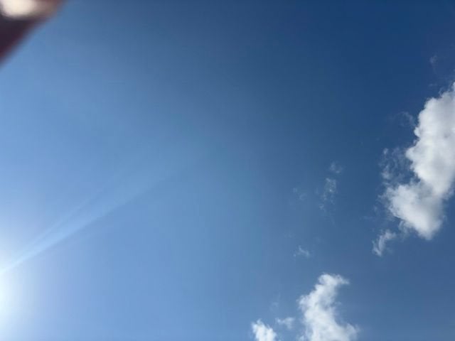 2019 Honda Accord Sedan LX 1.5T